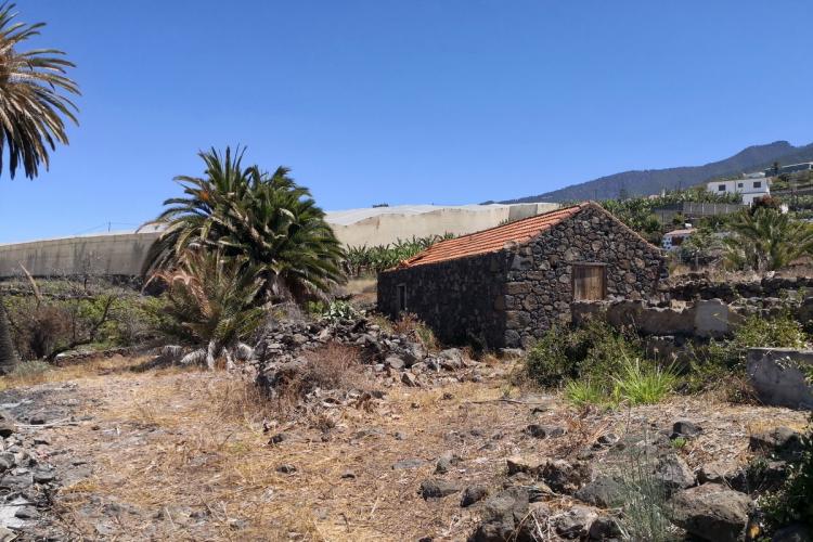 Islas Immobilien La Palma