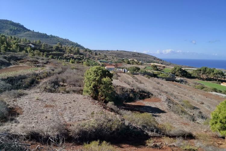 Islas Immobilien La Palma